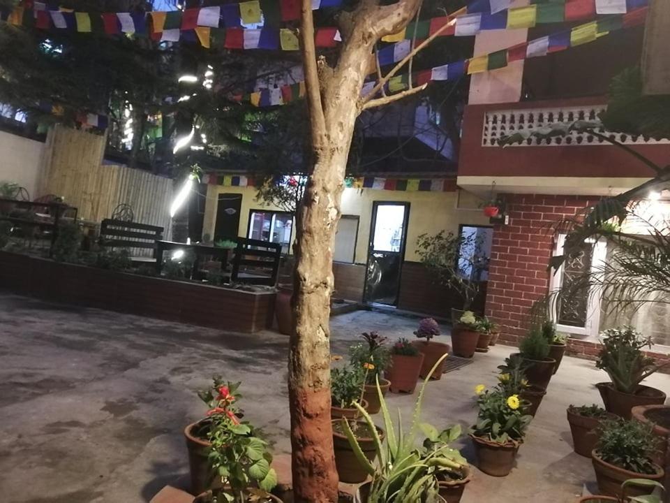 Nirvana Green Peace Home Kathmandu Luaran gambar