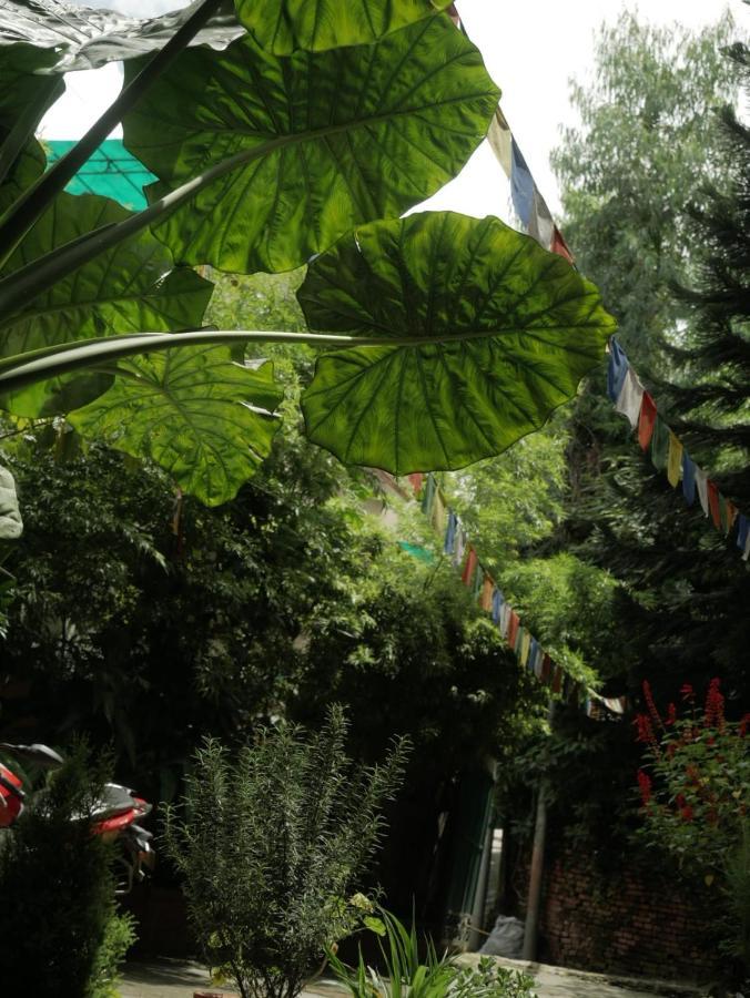 Nirvana Green Peace Home Kathmandu Luaran gambar