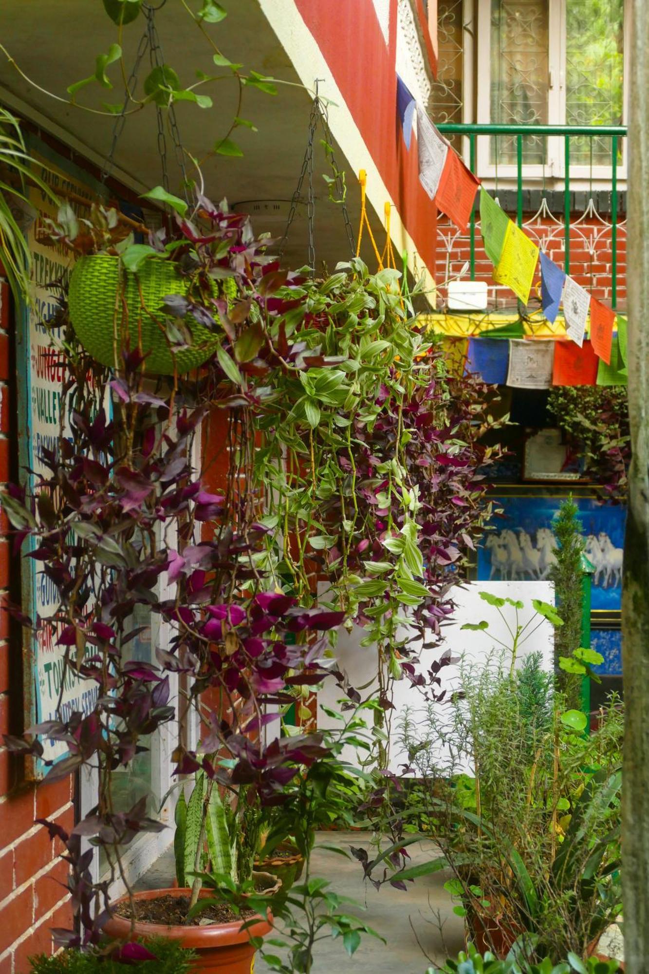 Nirvana Green Peace Home Kathmandu Luaran gambar